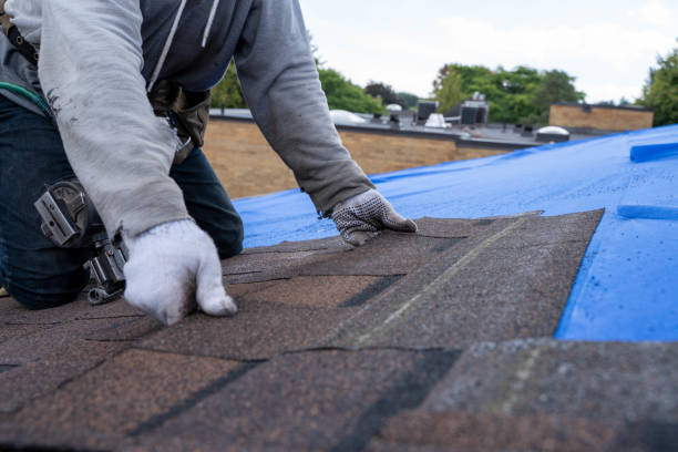 Best Commercial Roofing Services  in Haskins, OH