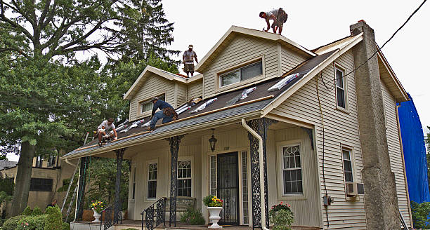 Best Gutter Installation and Roofing  in Haskins, OH
